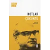 Notlar / Çöküntü