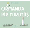 Ormanda Bir Yürüyüş
