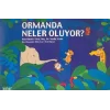Ormanda Neler Oluyor?