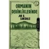 Ormanın Derinliklerinde
