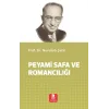 Peyami Safa ve Romancılığı