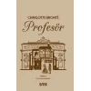 Profesör