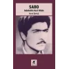 Sabo (Sabahattin Kurt Kitabı)
