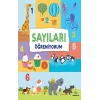 Sayıları Öğreniyorum (Ciltli)
