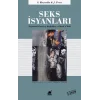 Seks İsyanları - Toplumsal Cinsiyet, Başkaldırı ve RocknRoll
