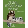 Sevimli Hayvanlarla Bir Gün