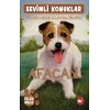 Sevimli Konuklar-4 Afacan