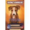 Sevimli Konuklar-5 Fındık