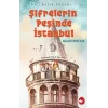 Şifrelerin Peşinde İstanbul - Matematik Romanı 1