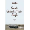 Şimdi Gidecek Misin Böyle