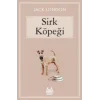 Sirk Köpeği