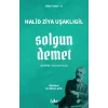 Solgun Demet