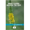 Sweet Clover: Growing the Crop
