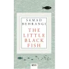 The Little Black Fish