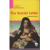 The Scarlet Letter (CDli) Stage 6