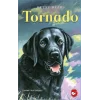 Tornado