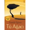 Tu Ağacı