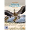 Türkiyenin Göçmen Kuşları