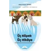 Üç Köpek Üç Hikaye