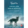 Yavru Adında Bir Sokak Köpeği