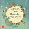 Yavru Hayvanlar Nasıl  Uyur?