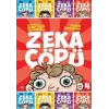 Zeka Çöpü - 4 / Romen Rakamları