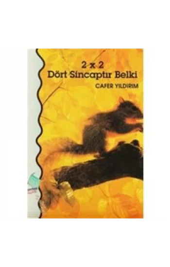 2 x 2 Dört Sincaptır Belki