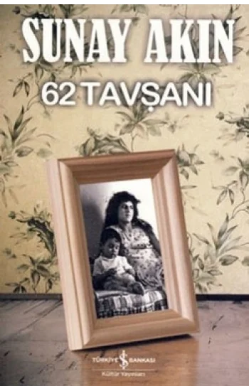 62 Tavşanı