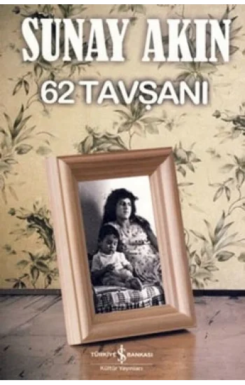 62 Tavşanı