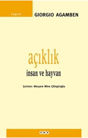 Açıklık