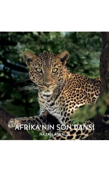 Afrika’nın Son Dansı (Ciltli)