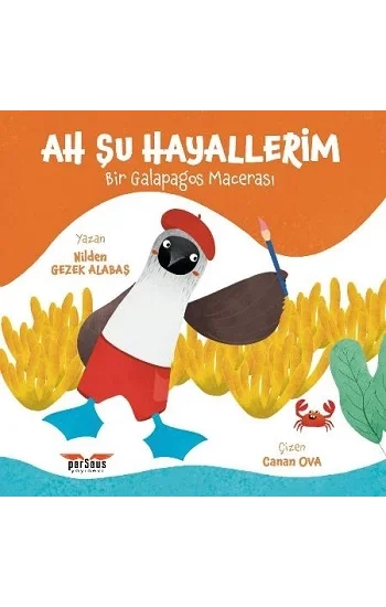 Ah Şu Hayallerim