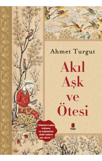 Akıl Aşk ve Ötesi