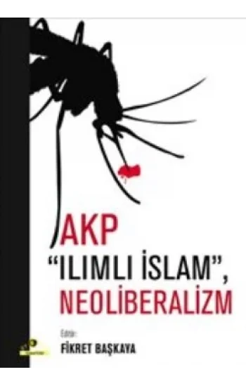 AKP Ilımlı İslam, Neoliberalizm