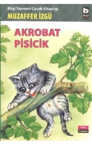 Akrobat Pisicik