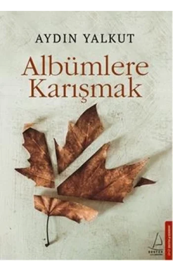 Albümlere Karışmak