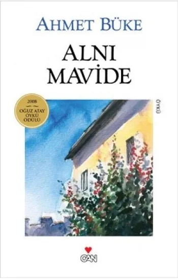 Alnı Mavide