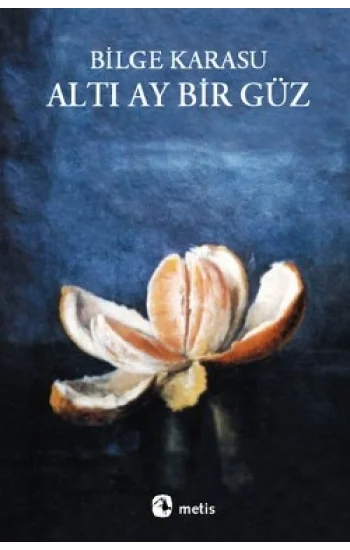 Altı Ay Bir Güz