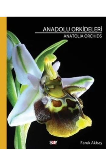 Anadolu Orkideleri