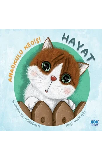 Anaokulu Kedisi Hayat