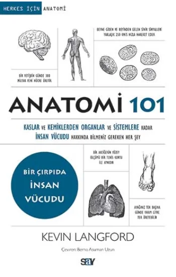 Anatomi 101 - Kaslar ve Kemiklerden Organlar ve Sistemlere kadar İnsan Vücudu Hakkında Bilmeniz Gereken Her Şey