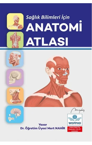 Anatomi Atlası