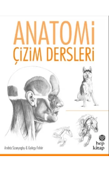 Anatomi Çizim Dersleri