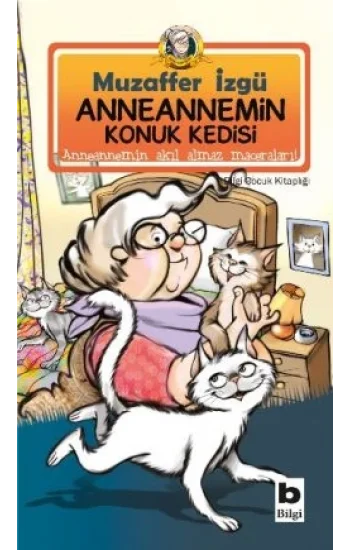 Anneannemin Konuk Kedisi