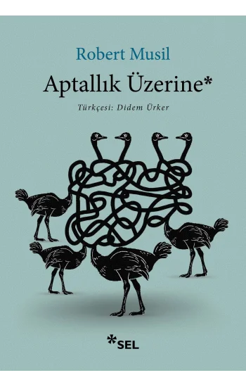Aptallık Üzerine