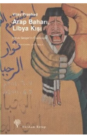 Arap Baharı, Libya Kışı