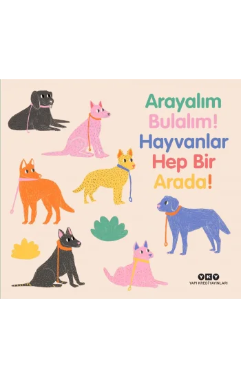 Arayalım Bulalım! Hayvanlar Hep Bir Arada! (Ciltli)