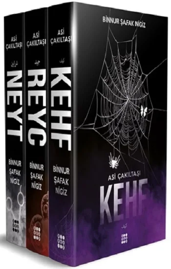 Asi Çakıltaşı Serisi Set (3 Kitap Takım)