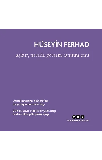 Aşktır, Nerede Görsem Tanırım Onu