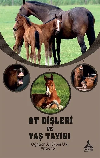 At Dişleri ve Yaş Tayini